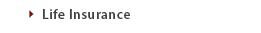 Life Insurance